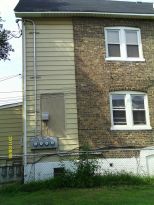 3922_Alder.jpg